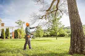 Best Lawn Irrigation Installation and Maintenance  in Montrose, PA
