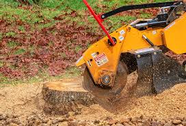 Best Firewood Processing and Delivery  in Montrose, PA